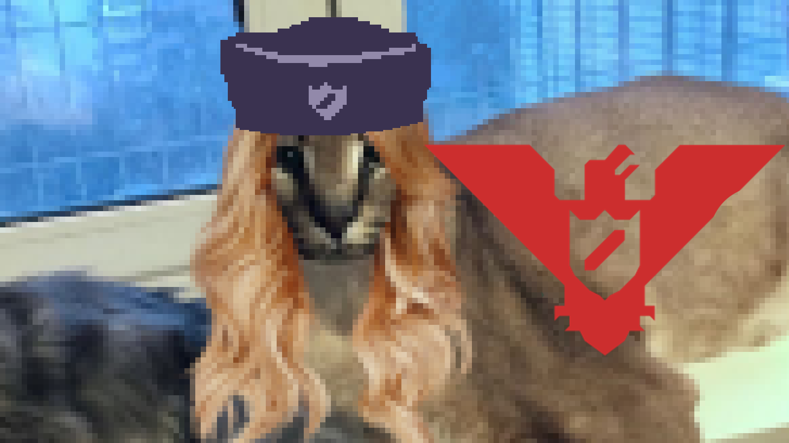 Picture of big floppa with an arstotzkan officer hat